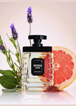 Guess cologne macy's sale