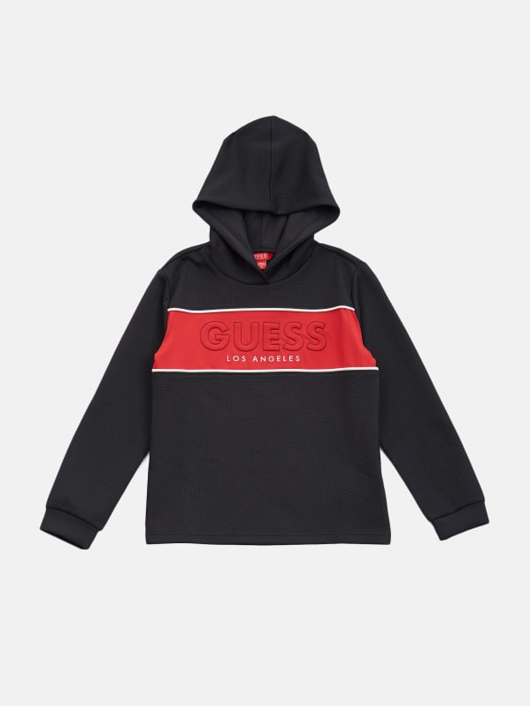 Damiano Hoodie (7-16) | GUESS Factory Damiano Hoodie (7-16) | GUESS Factory