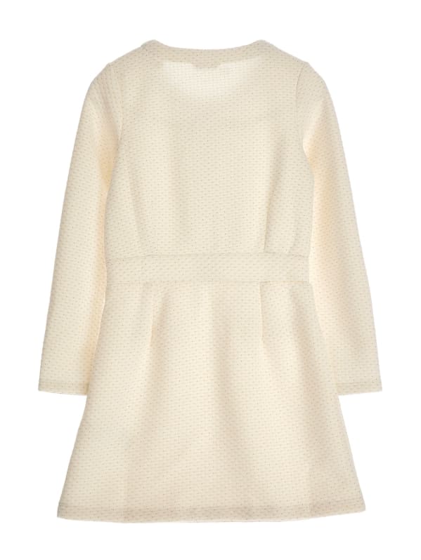 Jacquard Ditsy Dot Zip Dress 7 16