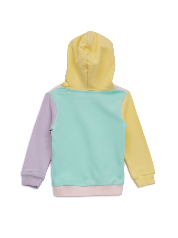 Guess colorblock hoodie 2025