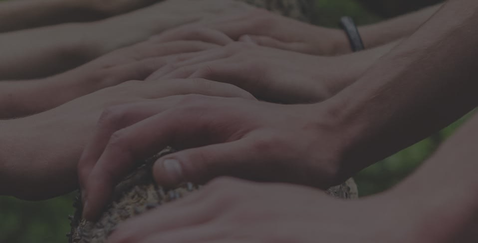 We've been involved with 473 organizations in the past years