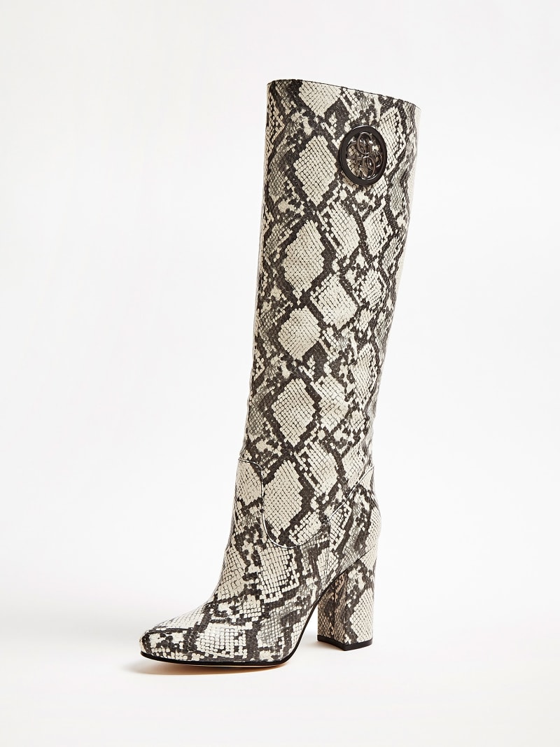 Bottes en python