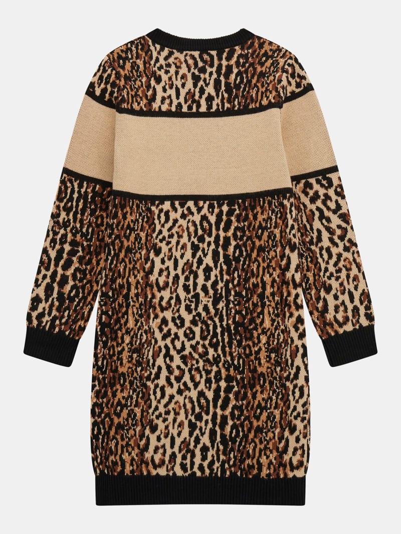 Animal print sweater dress
