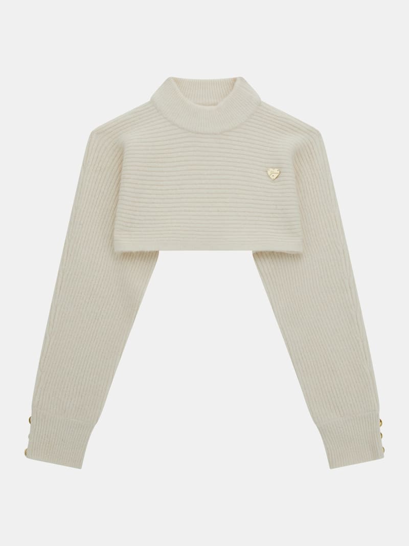 Rib knit crop sweater
