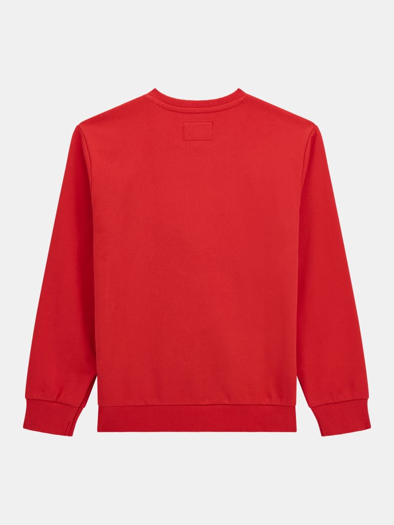 Sweatshirt red 2025