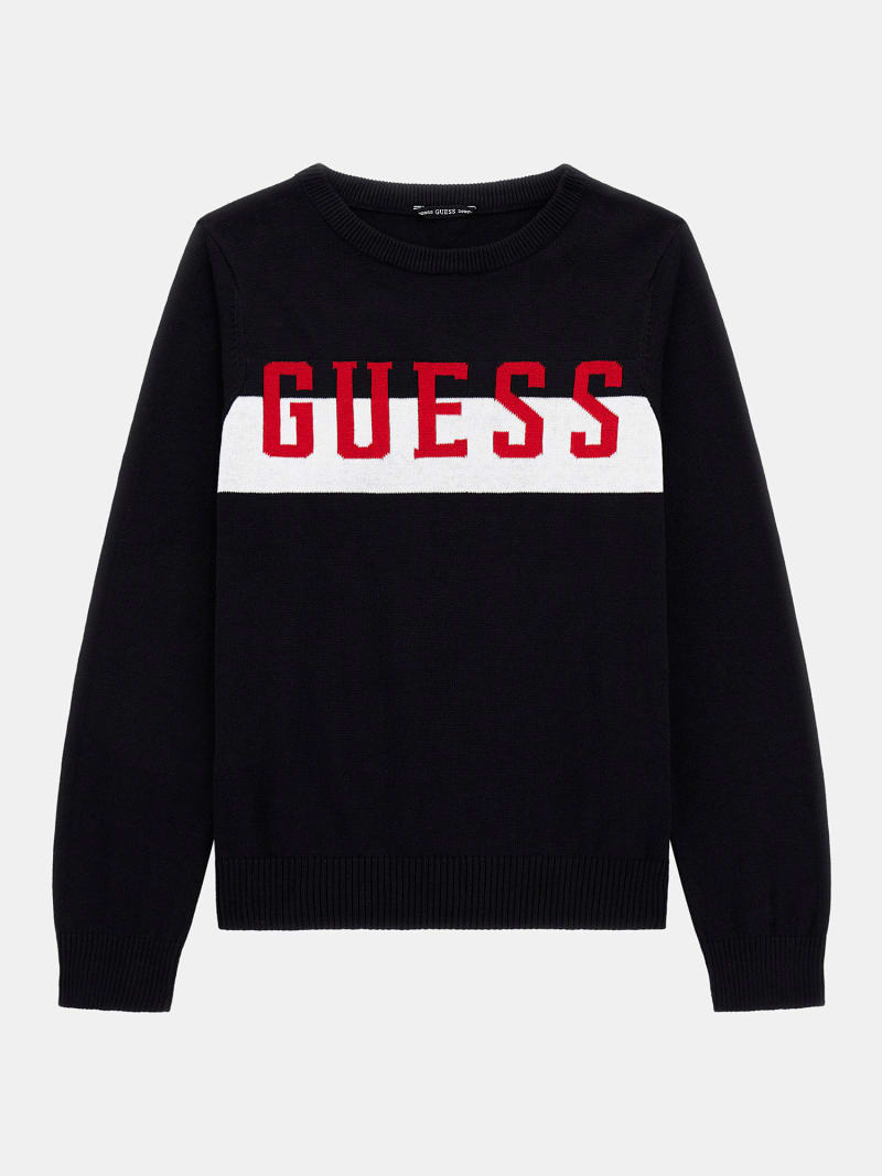Front logo sweater