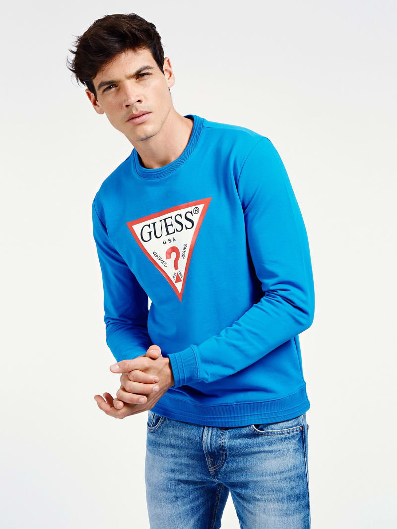 champion sweatshirt reverse weave