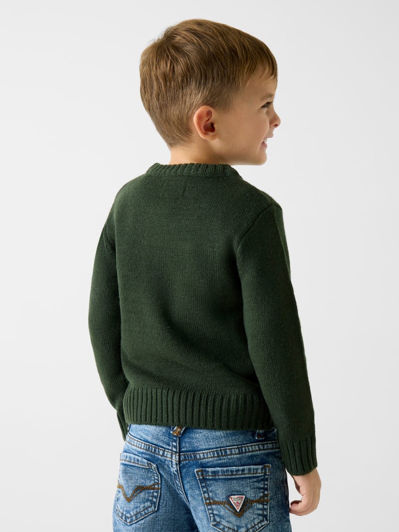 Maglione GUESS Per Bambini - Art N5YR00 Z3GV0, Colore Tinta Unita