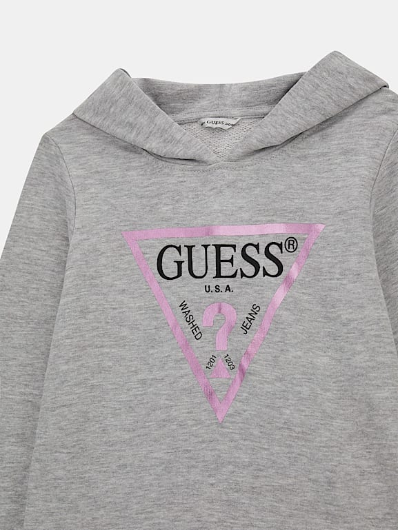 Guess triangle logo hoodie 2025