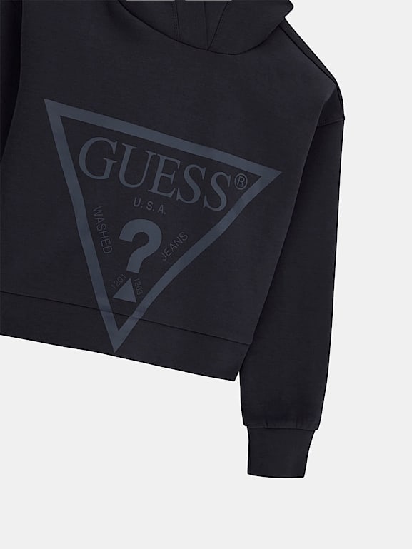 Guess triangle hotsell logo hoodie