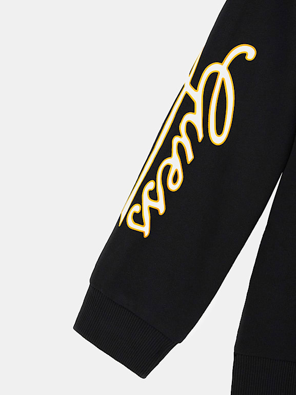 Guess roy colorblock hoodie hotsell