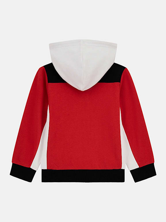 Color block sweatshirt online
