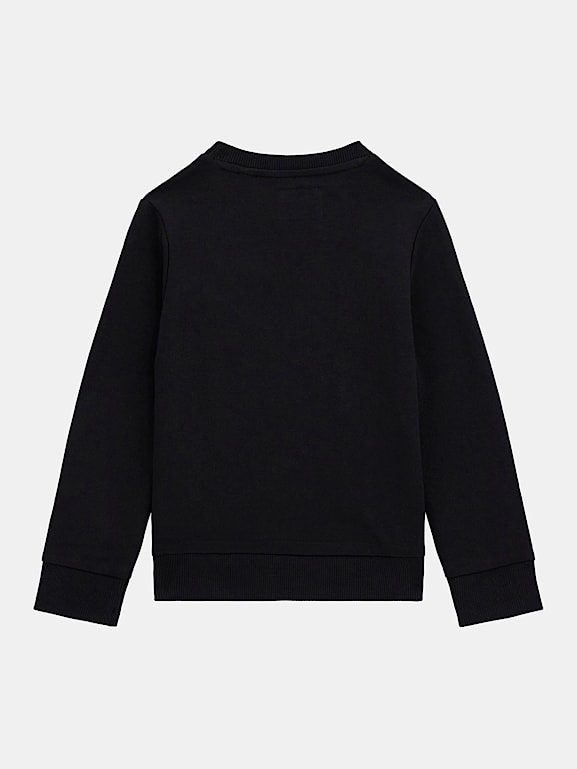GUESS Triangle logo sweatshirt
