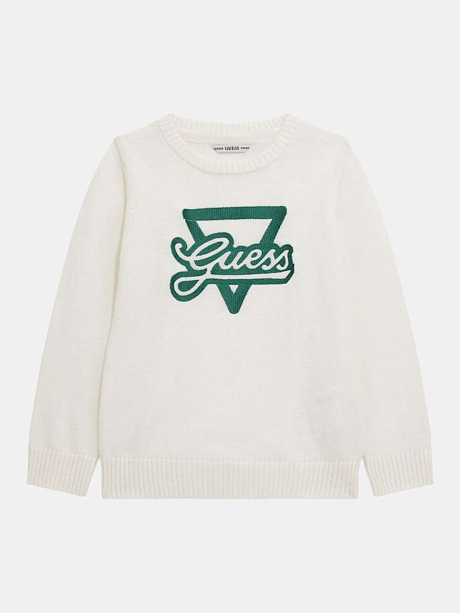 Front logo embroidery sweater