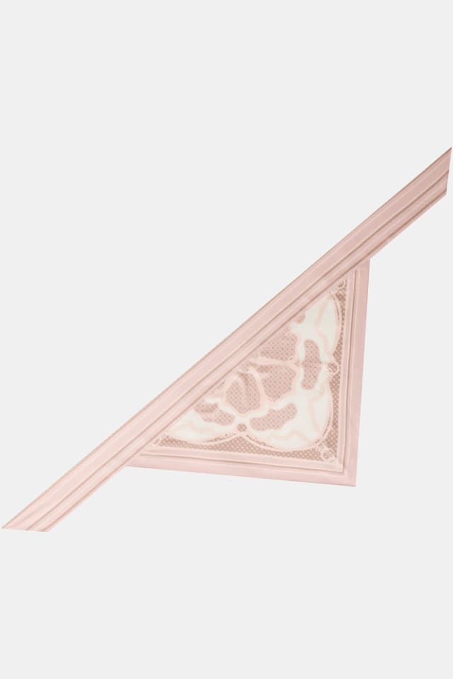 Peony Logo Bandeau