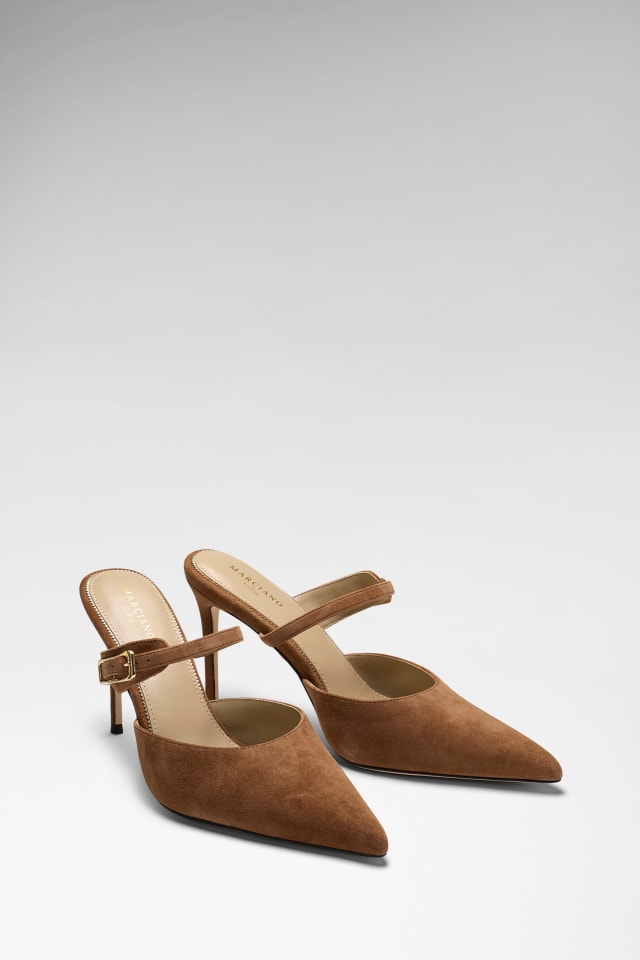 Mule de ante Marciano
