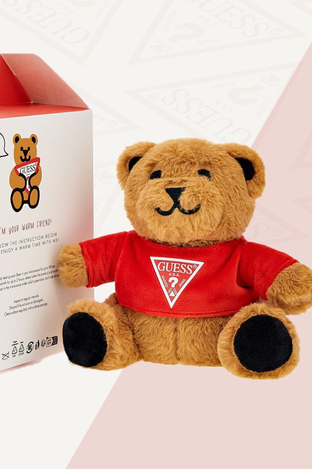 Peluche Aquecedor