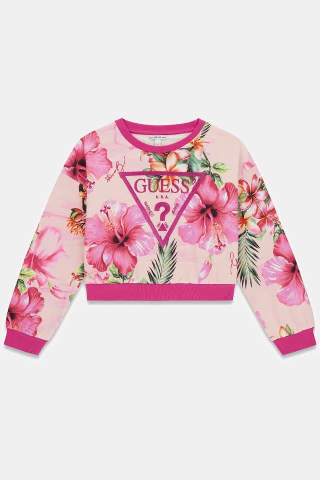 Sweatshirt logo triangle