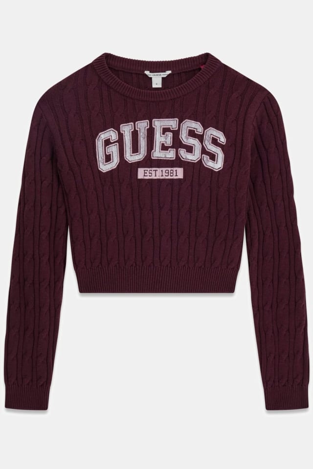 Pull avec &eacute;cusson logo