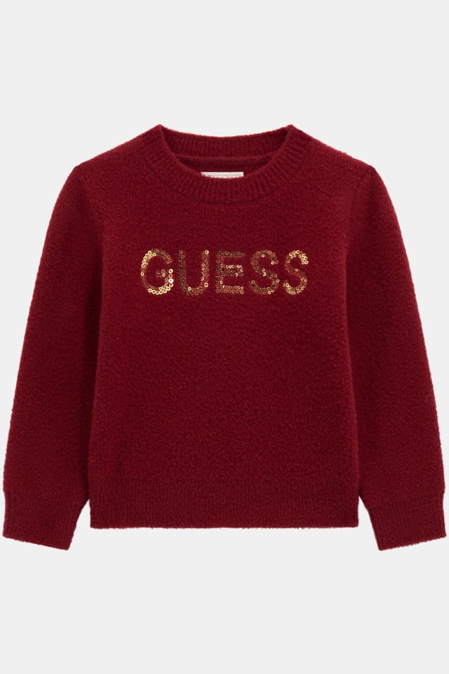 Pull logo &agrave; sequins