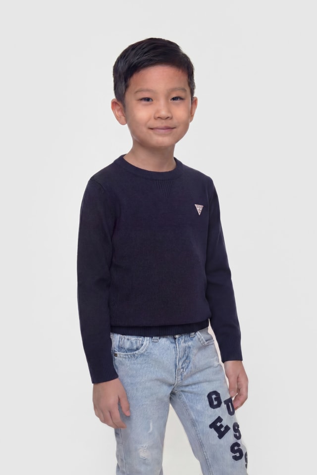 Pull logo marque