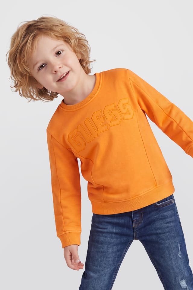 Sweat-shirt brodé