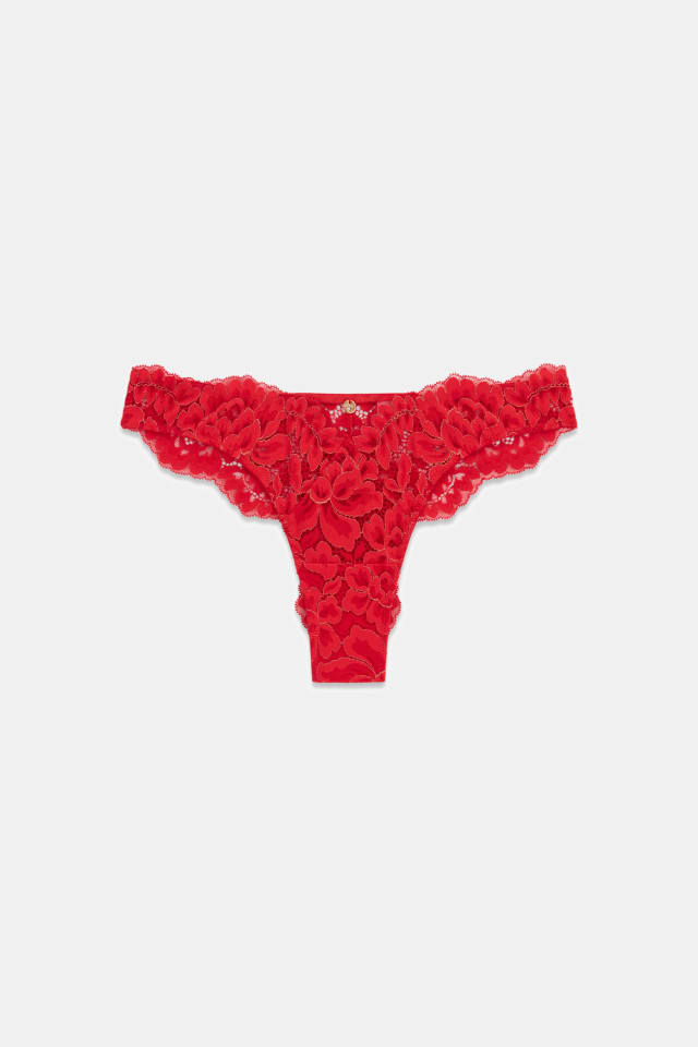 Ambra brazilian mesh brief