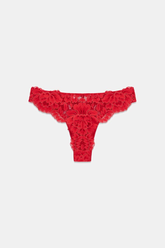 Ambra brazilian mesh brief