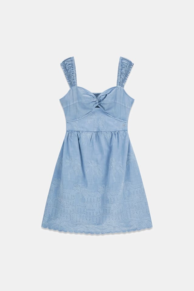 Mini bordado dress