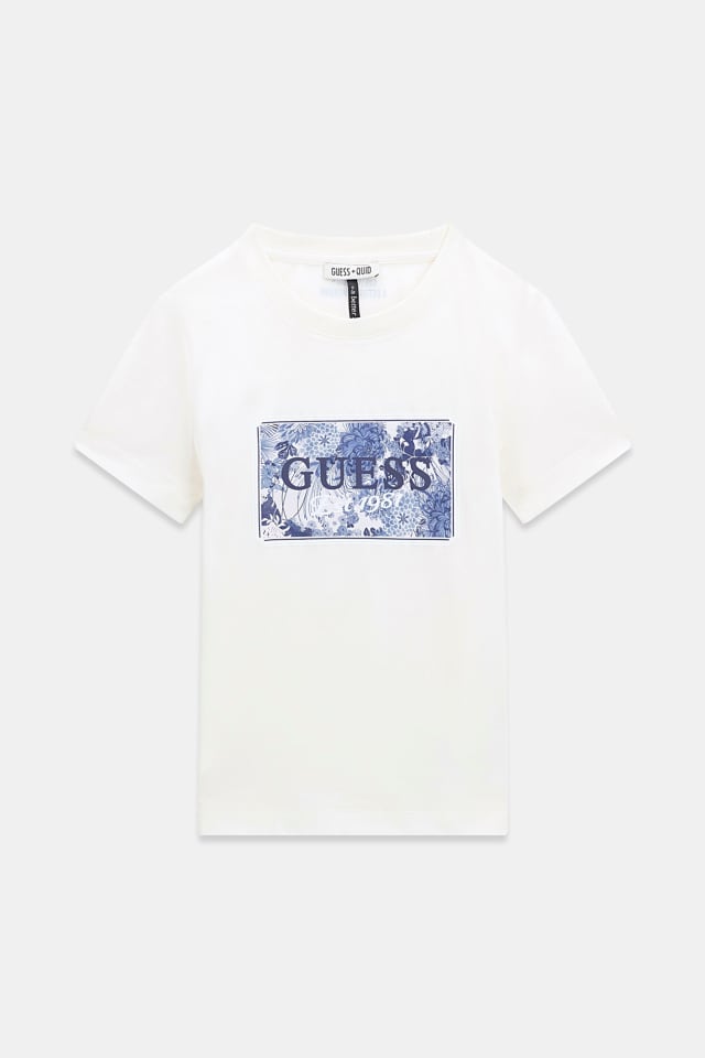 Camiseta estampado