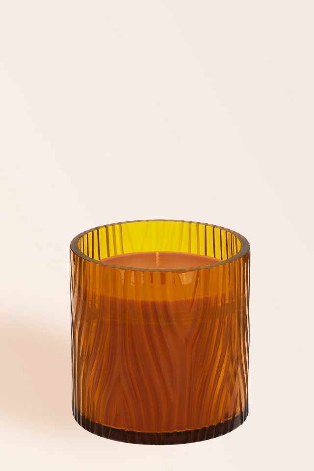 Vela Zebra
