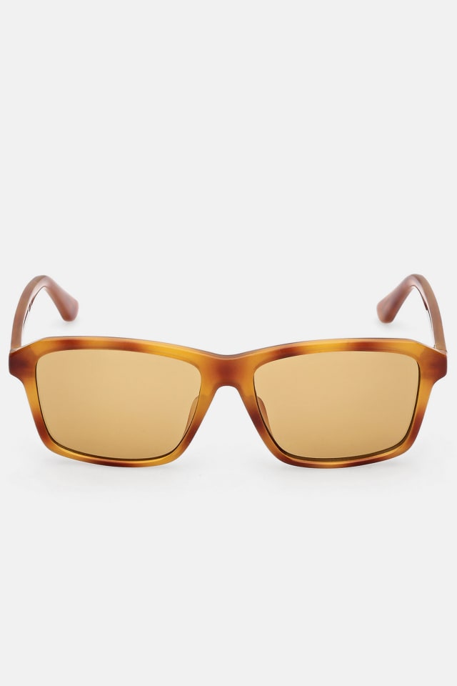 Square Sunglasses