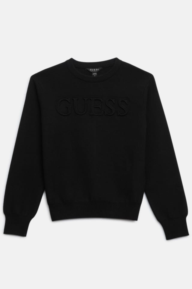 Astero Logo Sweater (7-16)