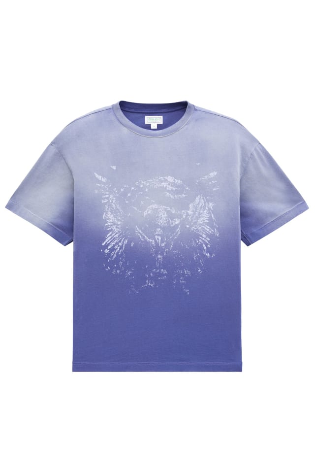 distressed eagle tee