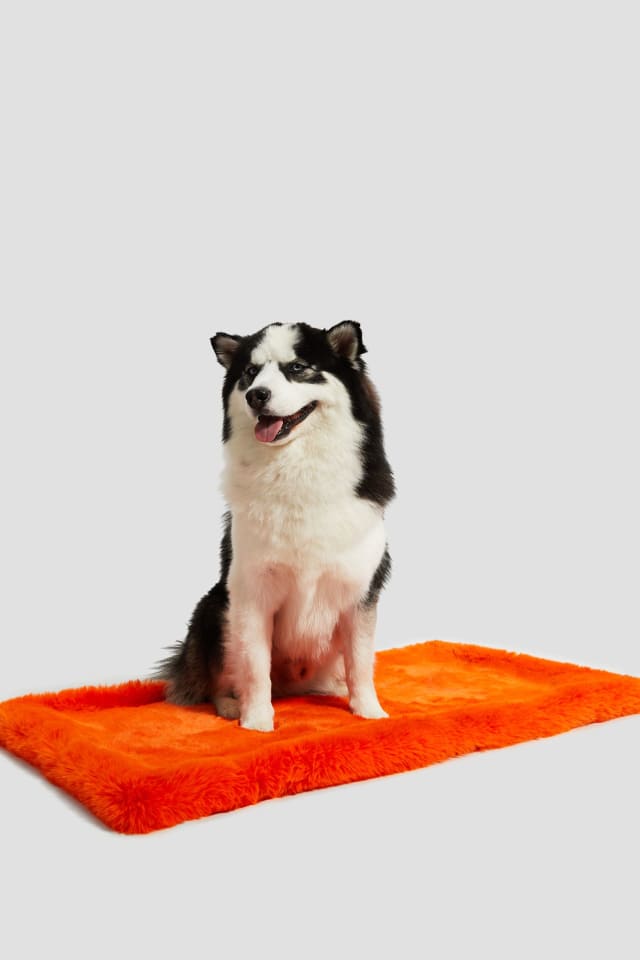 Tapis pour animaux en fourrure synth&eacute;tique