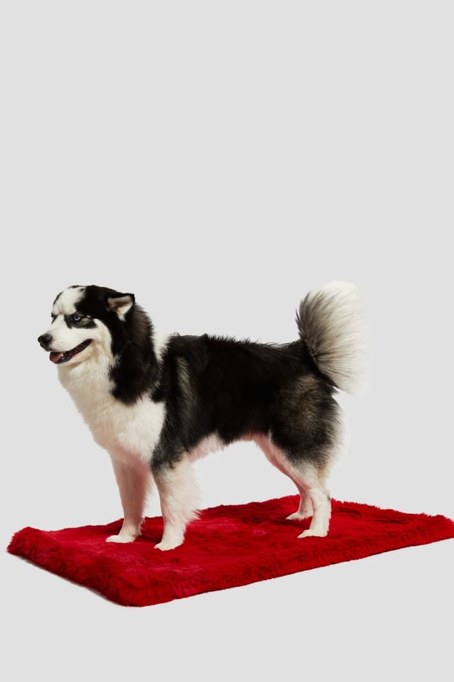 Faux-Fur Pet Carpet