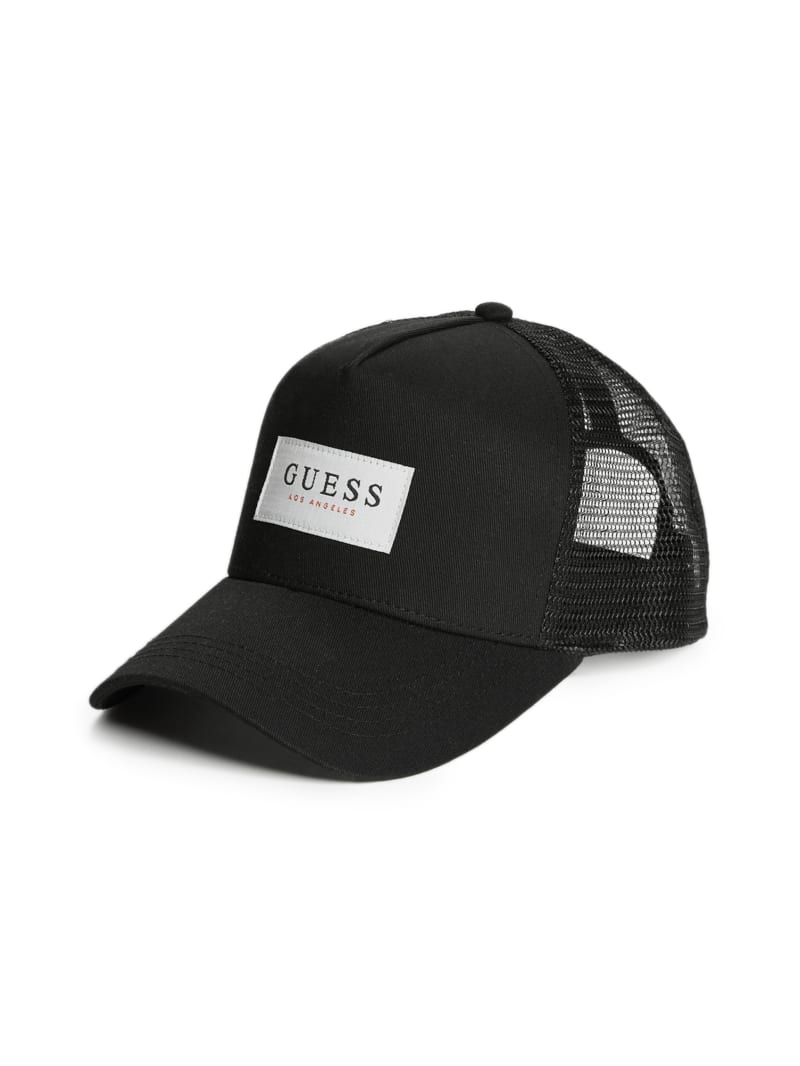 Mesh Logo Baseball Hat