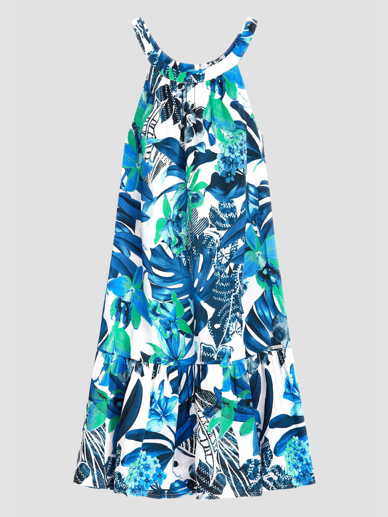 Shimmer Printed Sleeveless Dress (7-16)