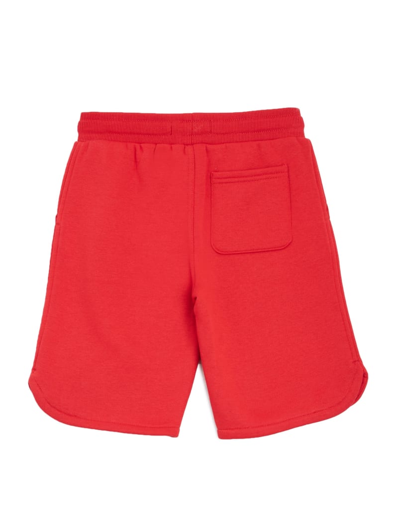 Davide Active Shorts (7-16