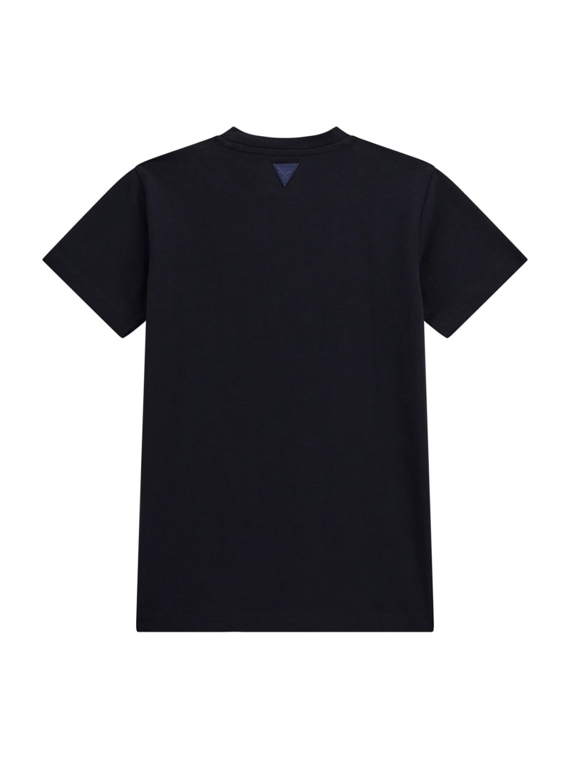 L5RI37J1311-DPM-ALT1