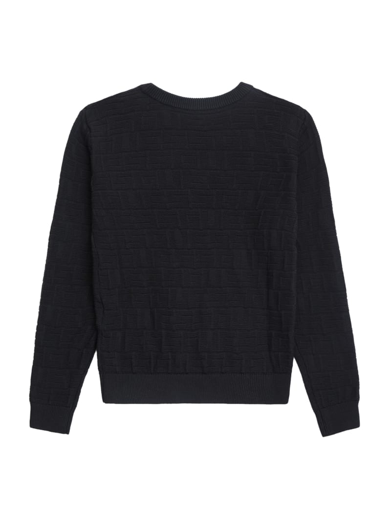 GUESS® Pedro Jacquard Crew Sweater (7-16)