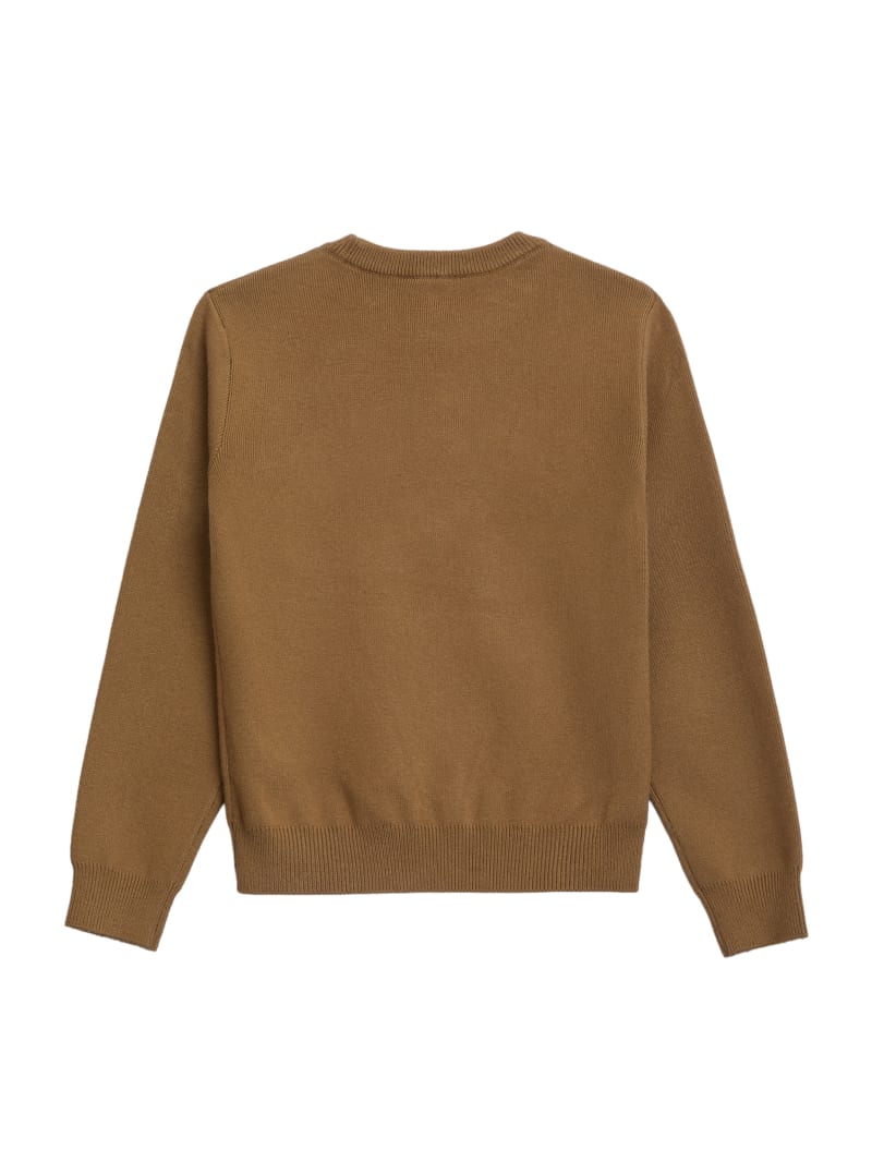 Phoenix Crewneck Sweater (7-16