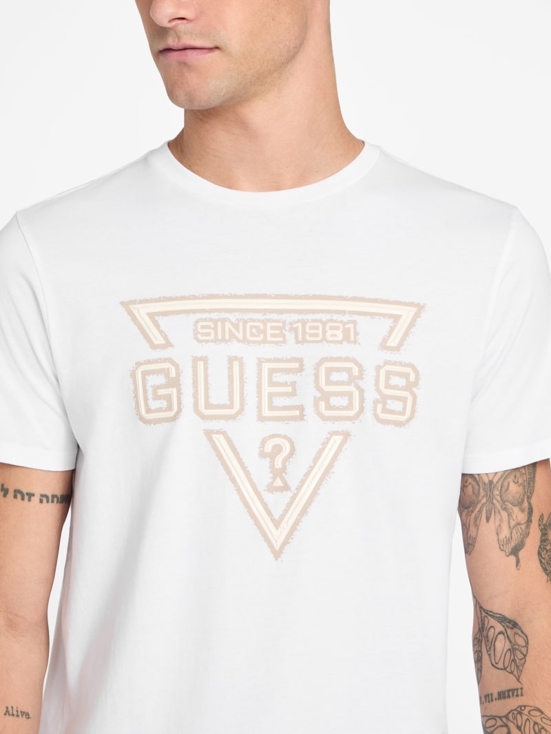 Eco Painted Triangle Tee