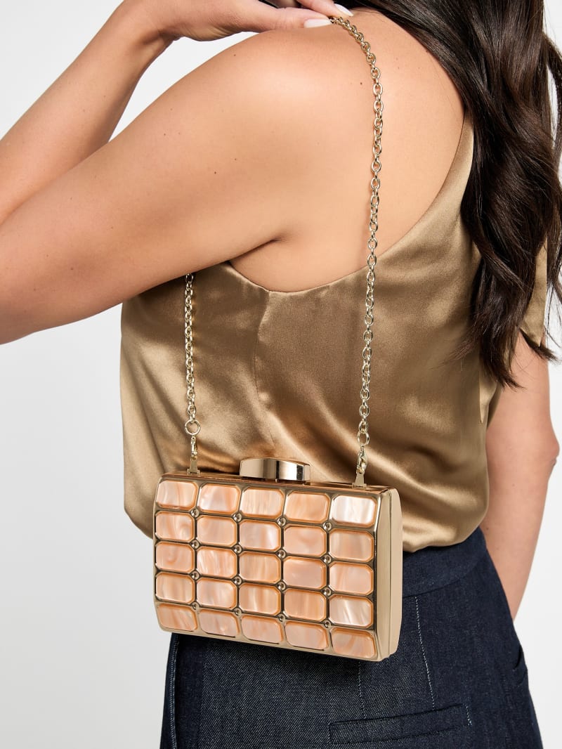 Emma Lucite Clutch