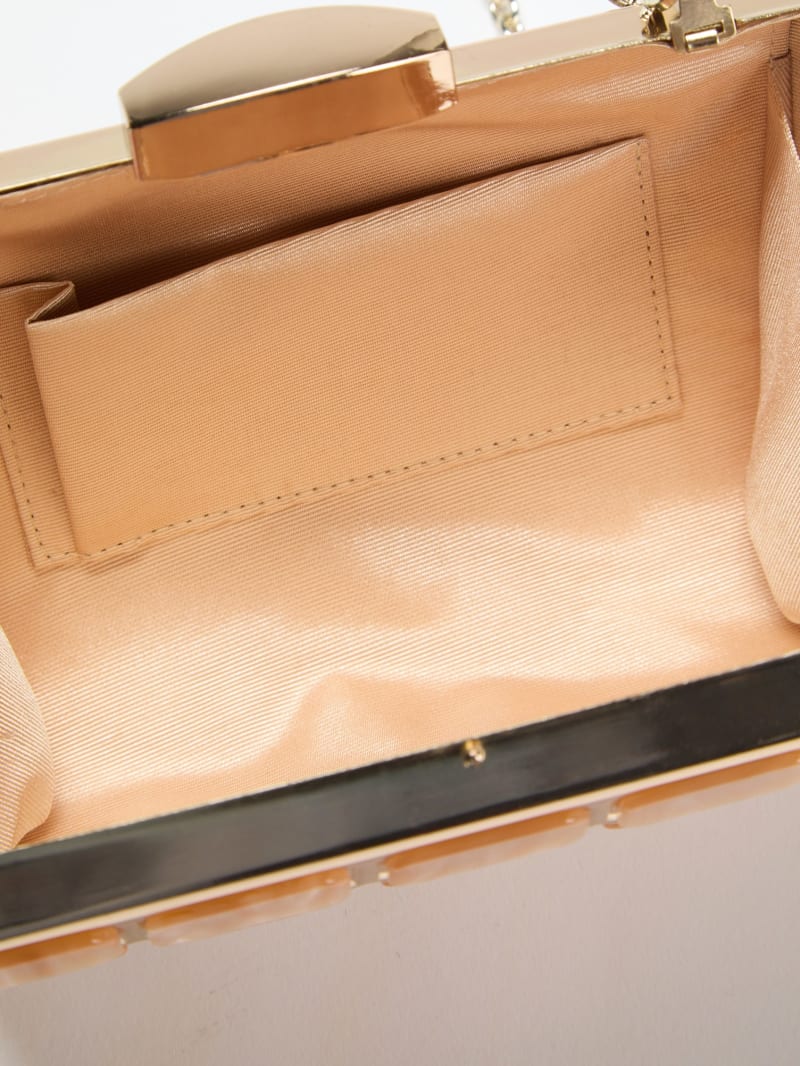 Emma Lucite Clutch