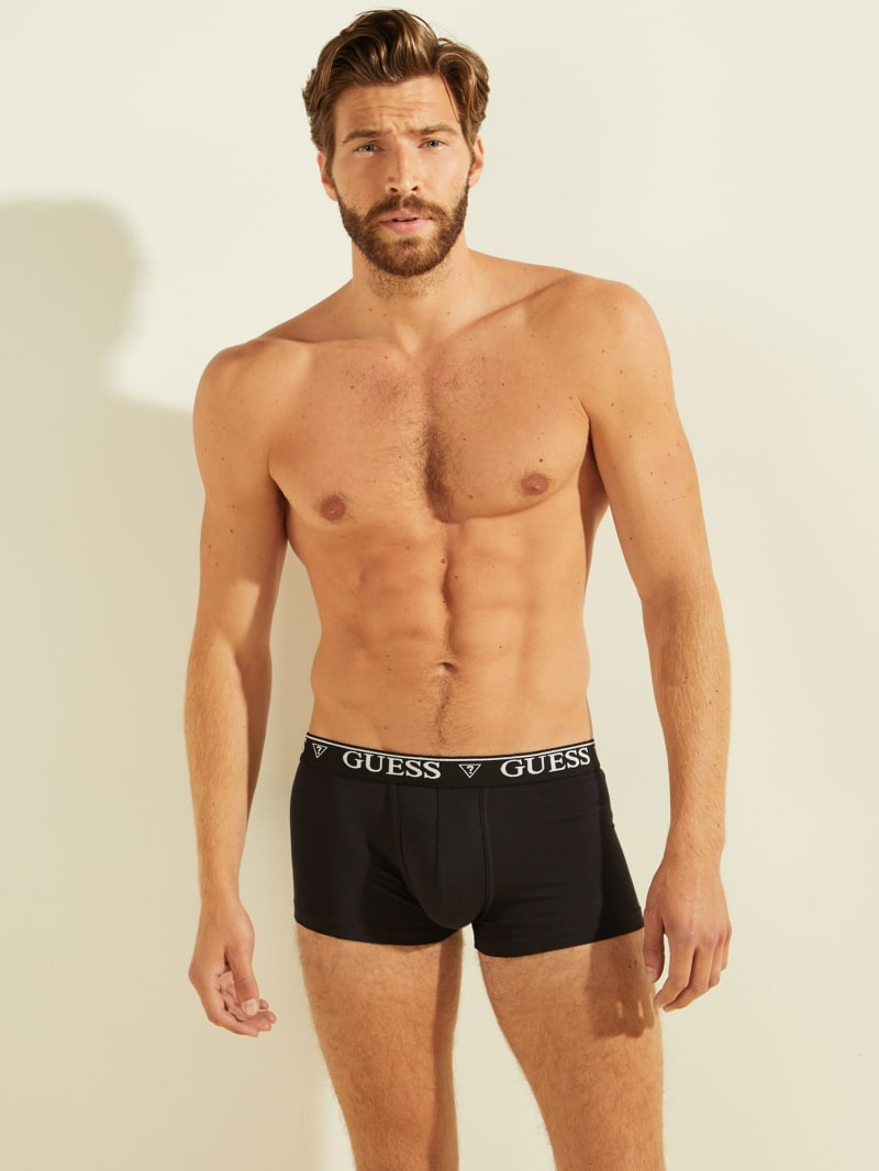 Guess briefs
