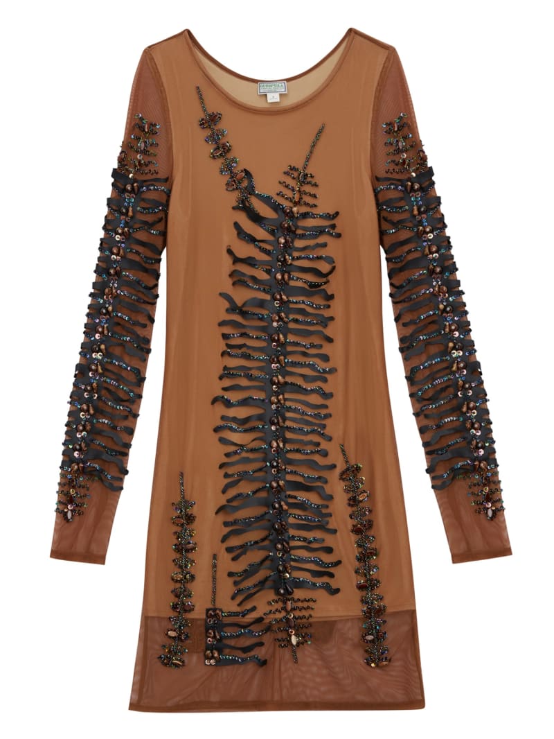 Mesh Dress
