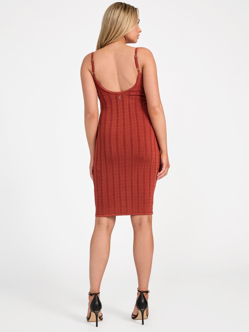 Reina Pointelle Sweater Dress