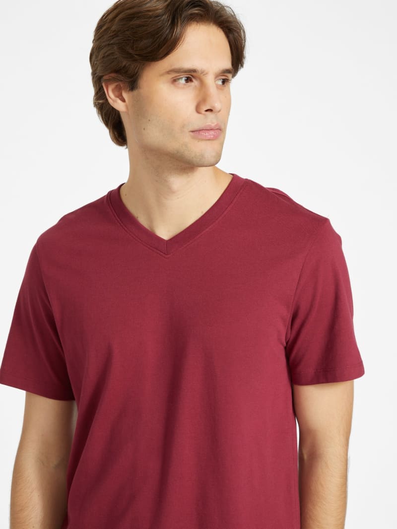 Brisa V-Neck Tee | GUESS Factory