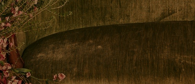guess womens clothing